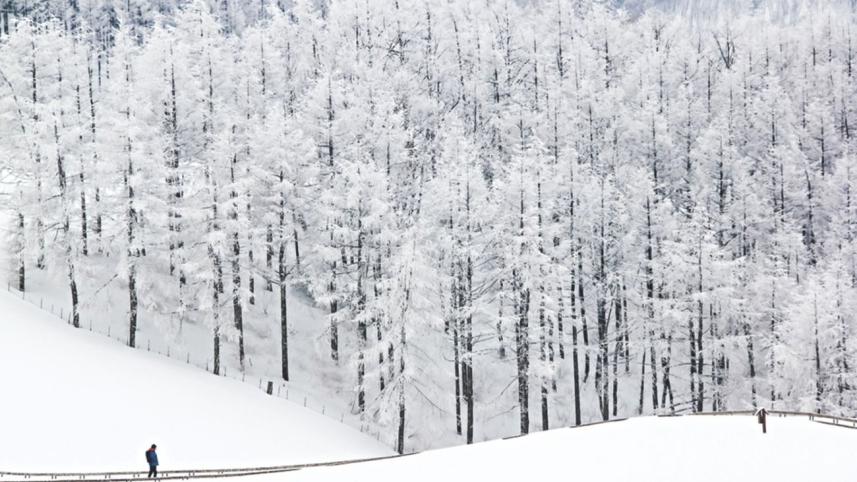 Snow fall