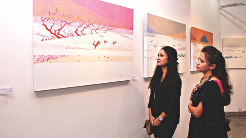 solo exhibit.jpg