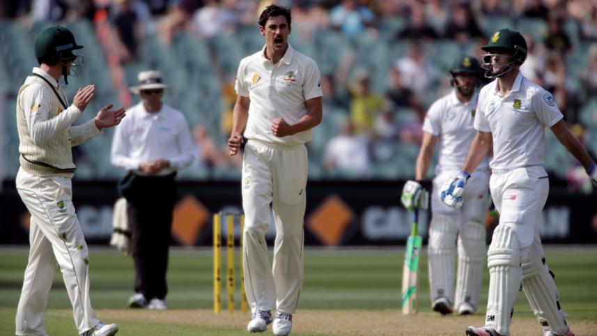 Starc.JPG