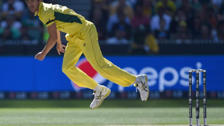 starc final.jpg