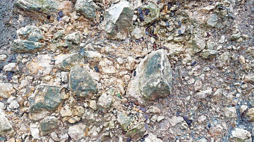 stone.jpg