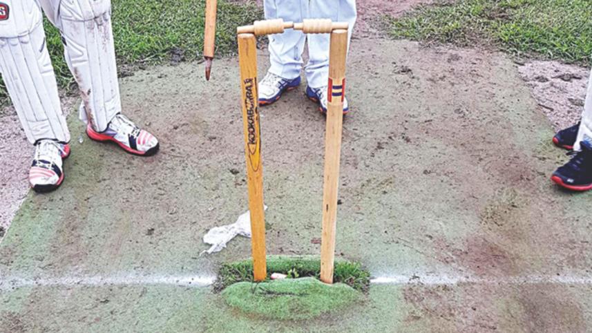 stump.jpg