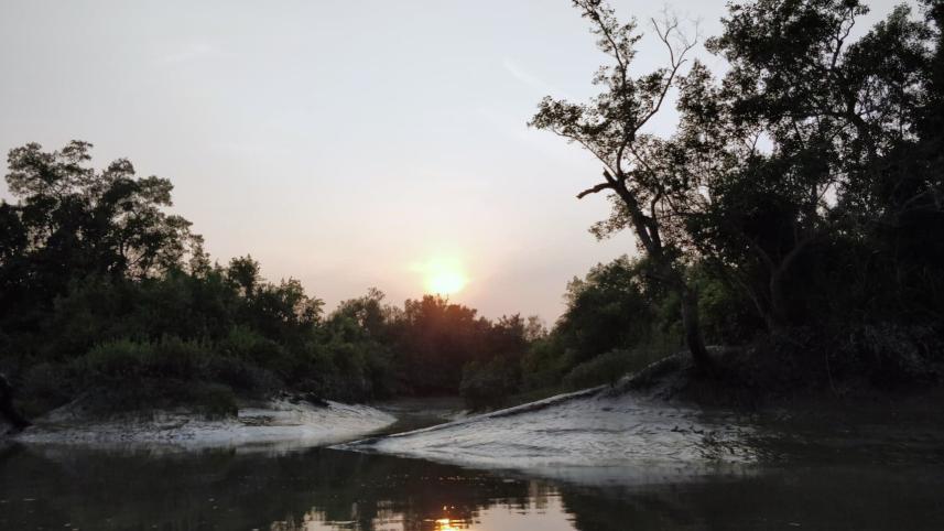 Sundarbans