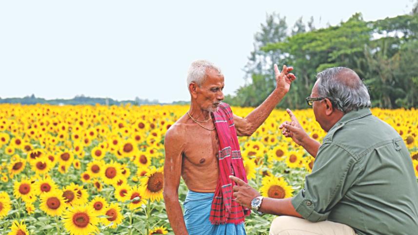 sunflower.jpg