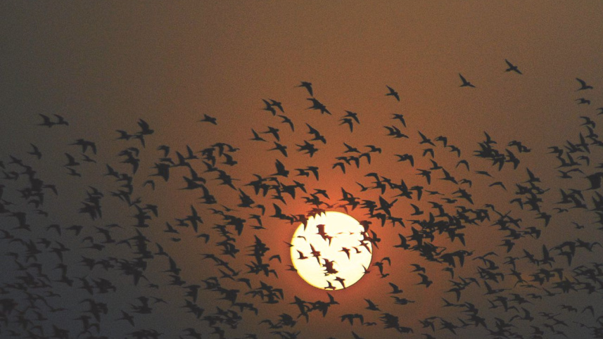 sunrise