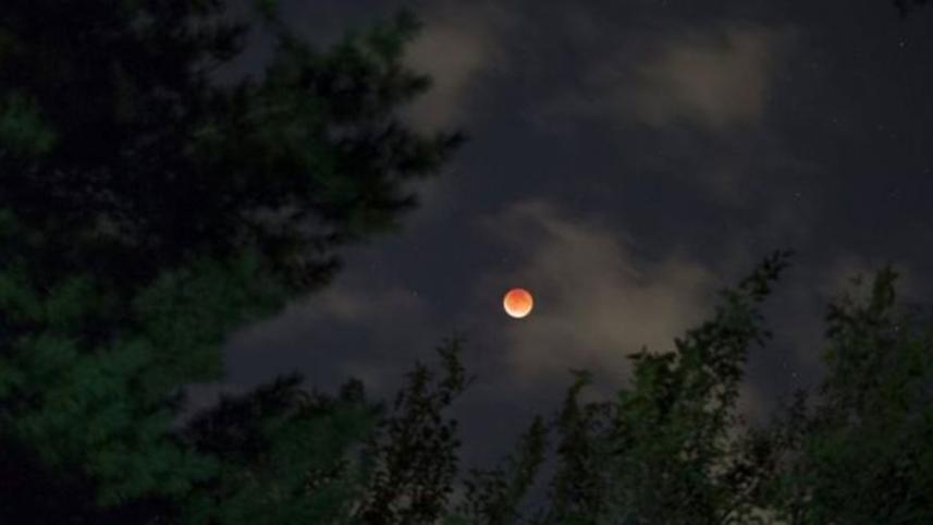 Supermoon-wb.jpg