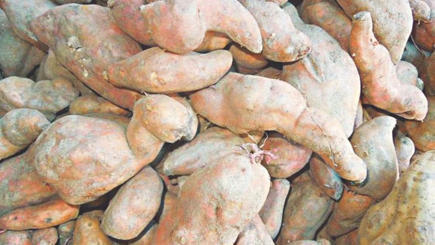 sweet potato.jpg