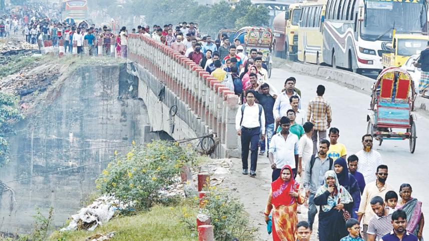 tailbacks 1.jpg