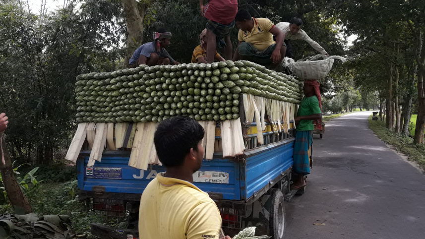 Thakurgaon.jpg