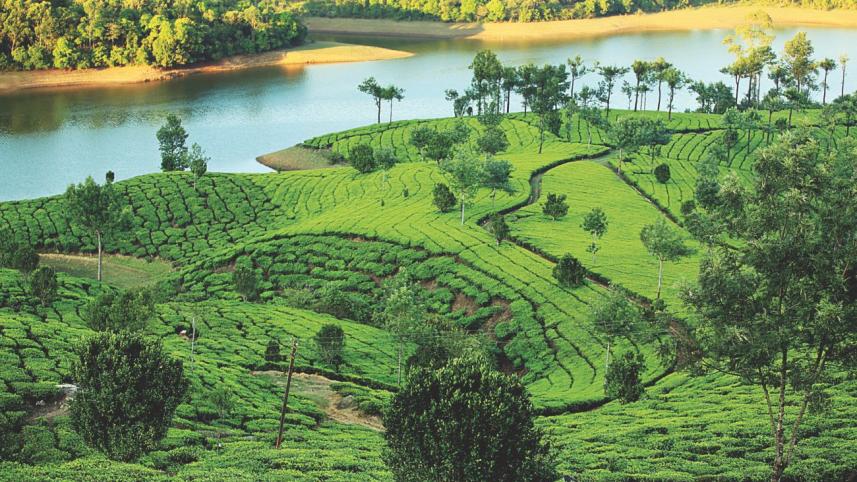 The Kerala Journal