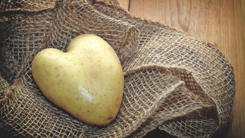 The Root of Love
