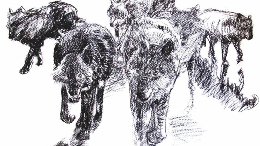 The Wolves