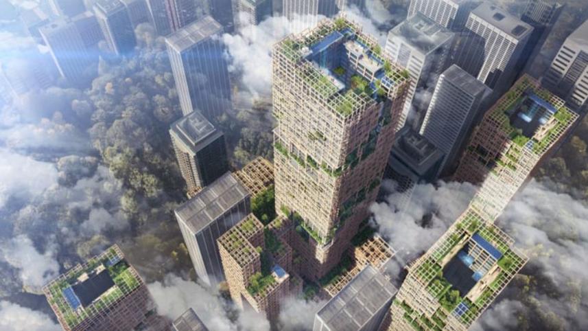Timber Tower.JPG
