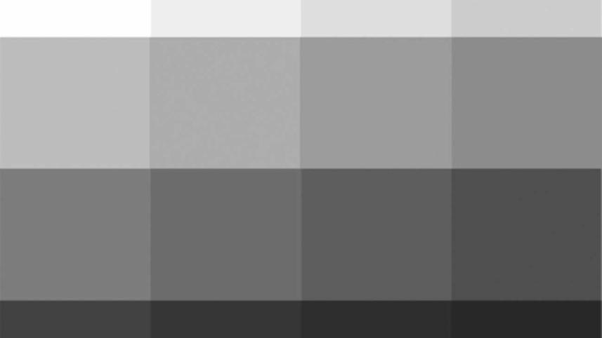 To all the Grays