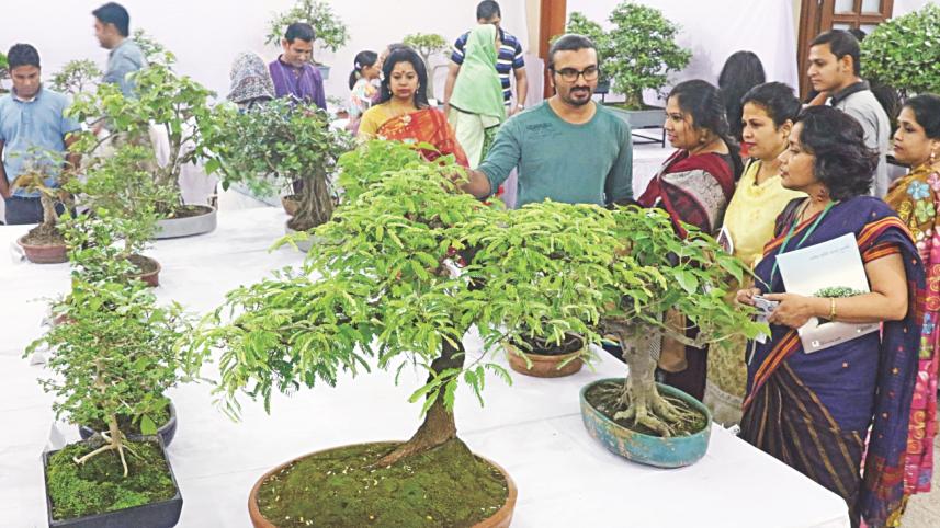 tree plant 1.jpg