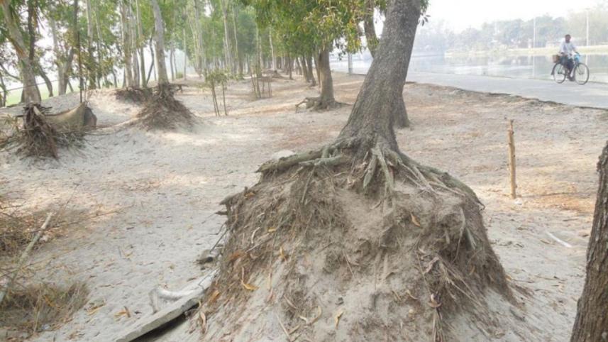 WDB must act against sand,earth  lifters