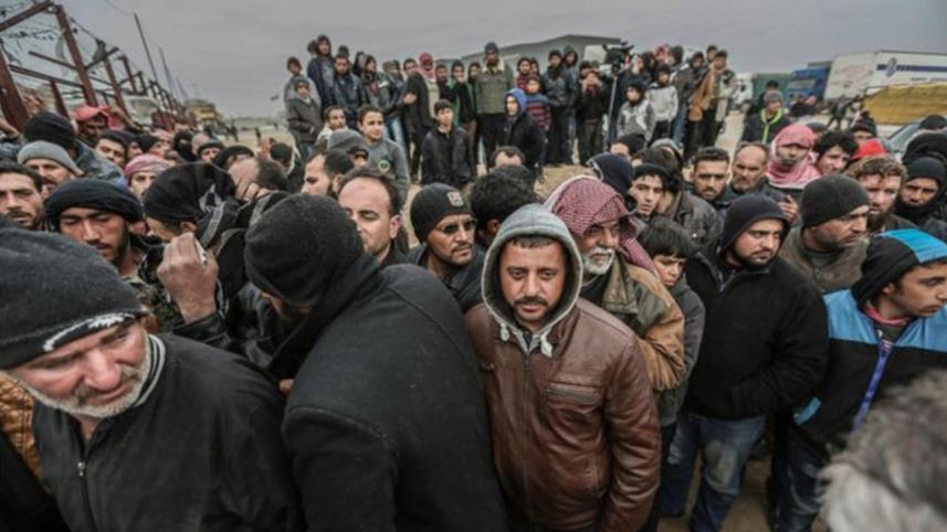 turkey-1-web.jpg