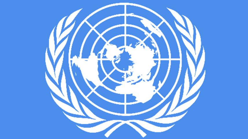 un-logo_DS.jpg