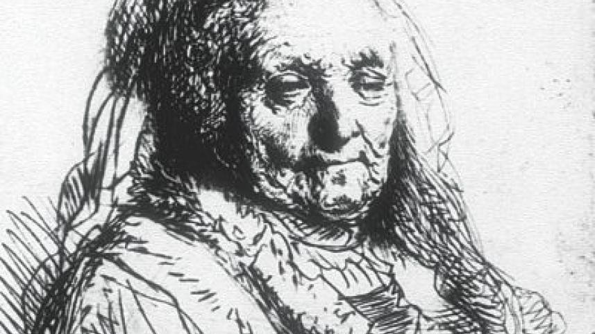 van rijn.jpg