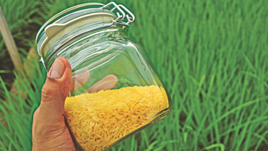 vitamin A rice