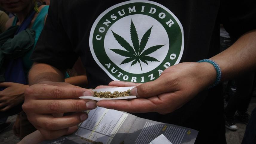Weed.jpg