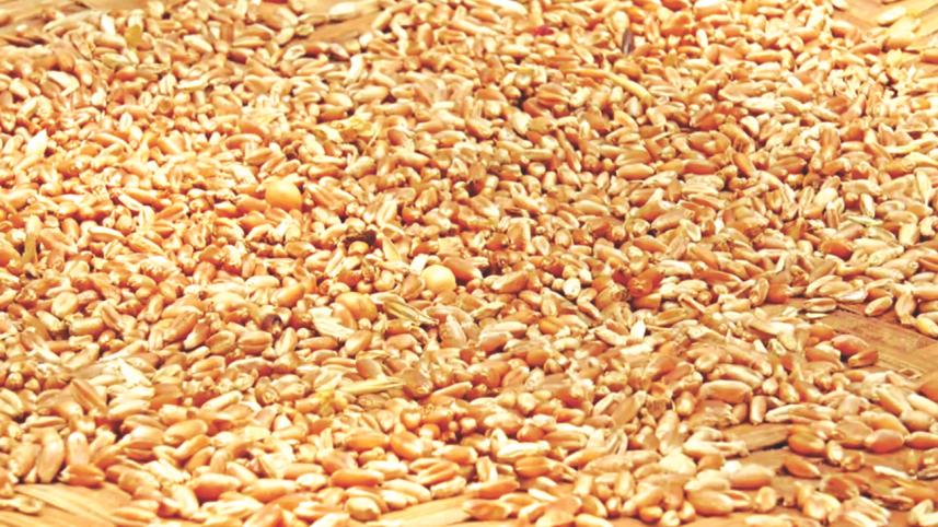 wheat.jpg