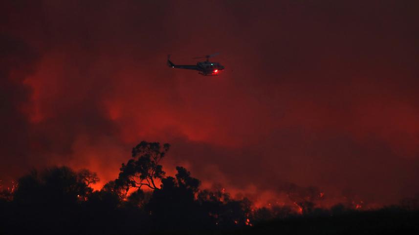 wildfire-.jpg