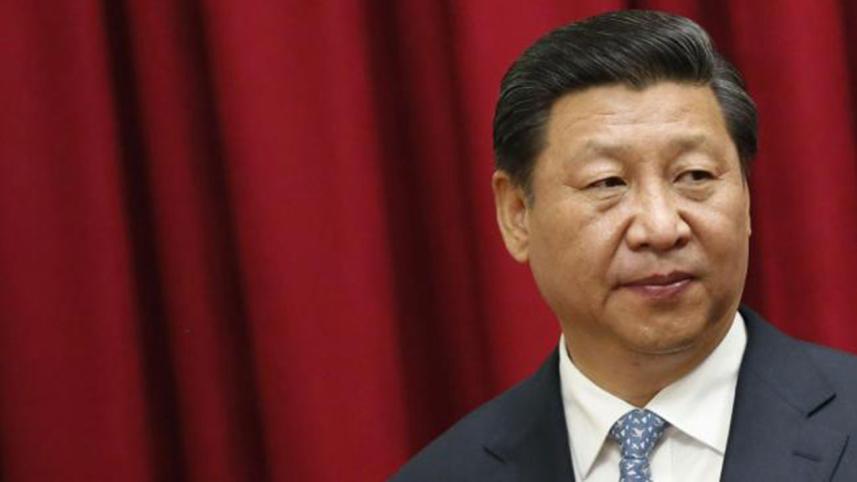 XI-wb.jpg