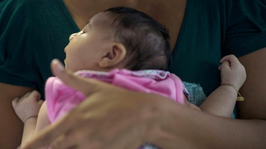 Zika virus, Brazil