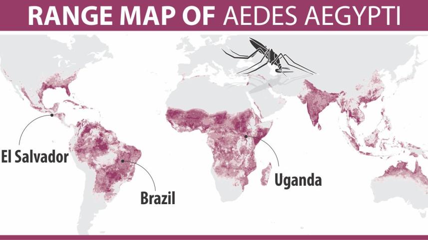 zika virus.jpg