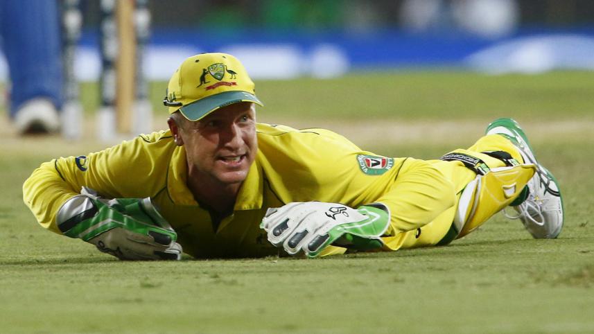  Brad Haddin