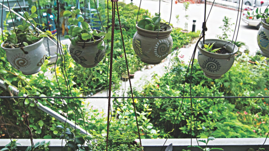 Hanging gardens 