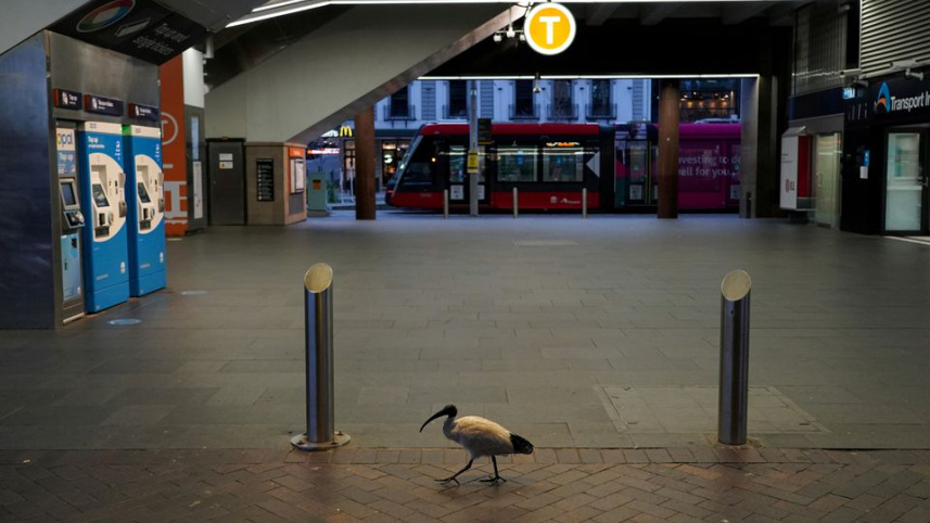australia.jpg