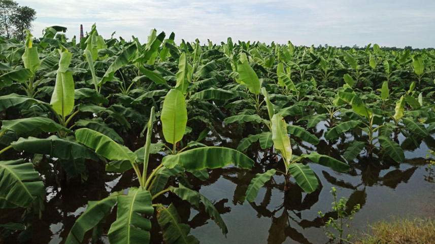 pabna_flood-web-2.jpg