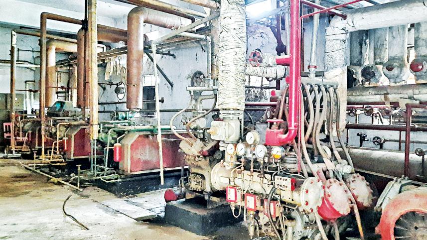 shrimp-processing-factory.jpg