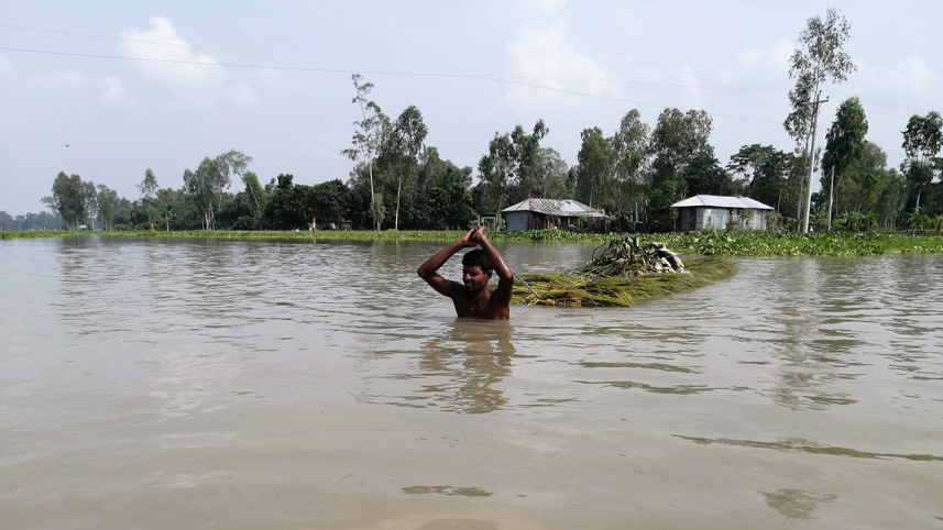 flood-2.jpg