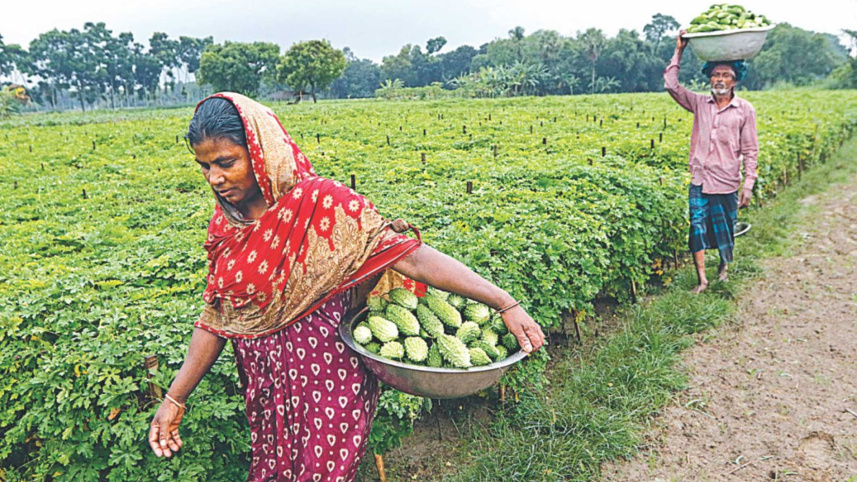 sustainable-global-food-system.jpg