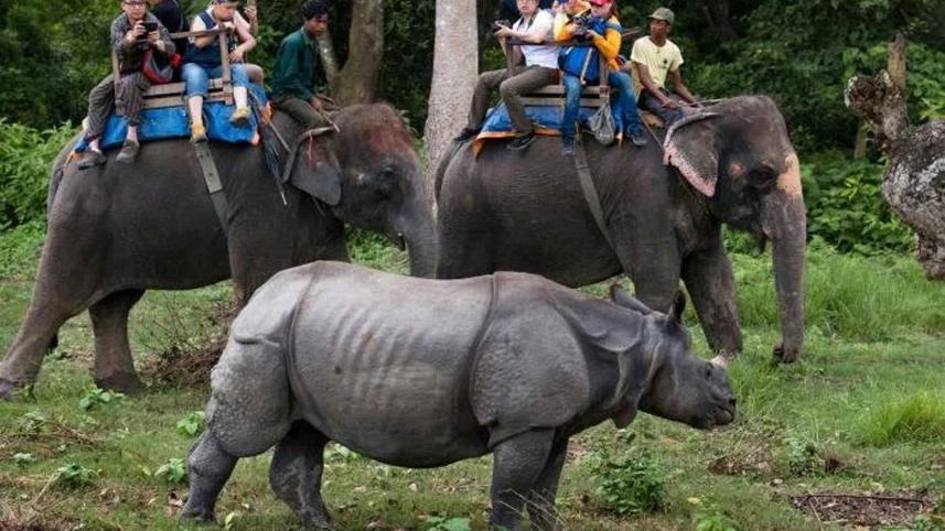 elephant-safari-chitwan-national-park.jpg