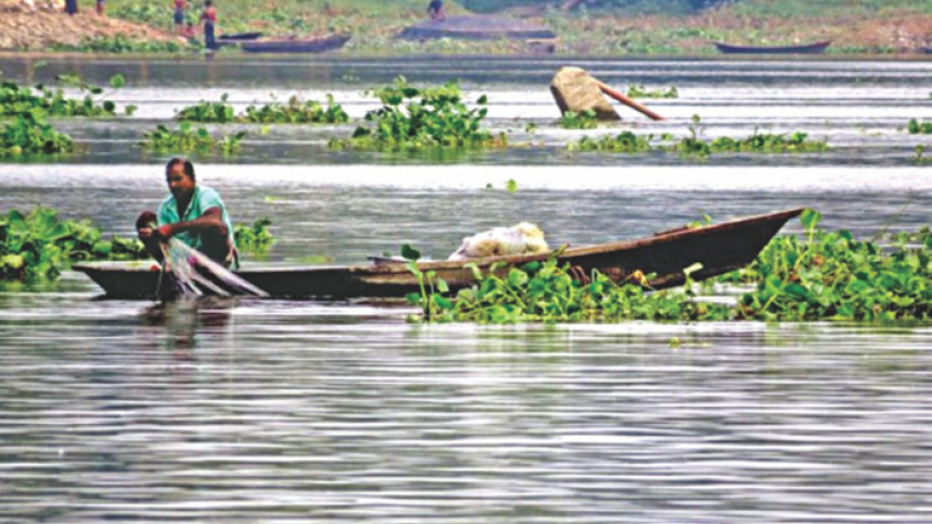 river, environment