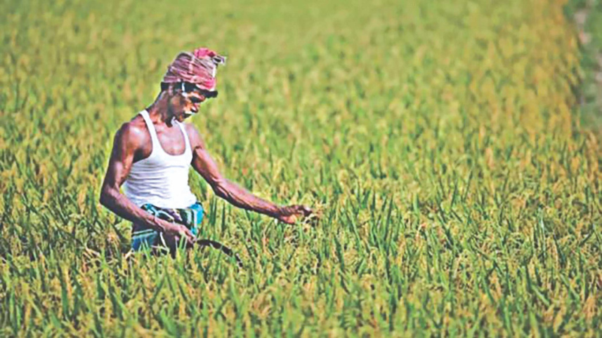 ending-hunger-sustainably.jpg