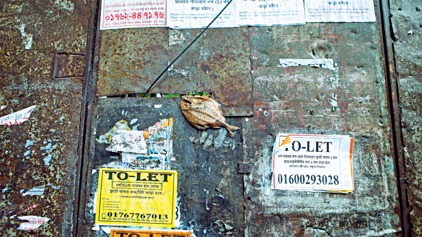 ordinary-finding4.jpg