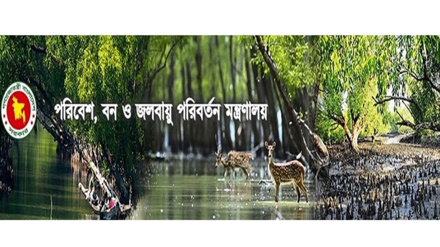 wildlife_web.jpg
