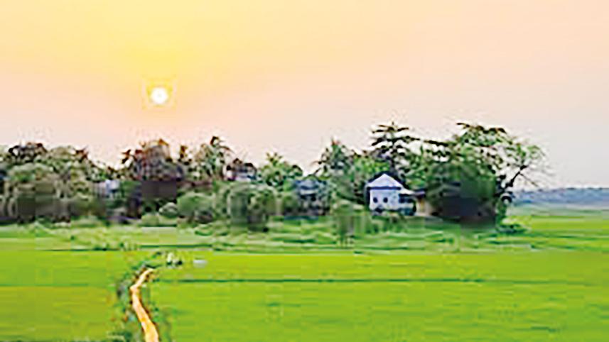 kolimoddi-dafadaar.jpg