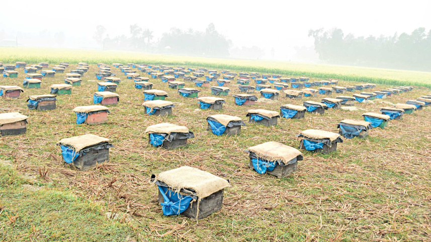 beekeepers-3.jpg