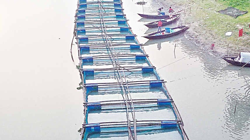 cage-fish-farming.jpg