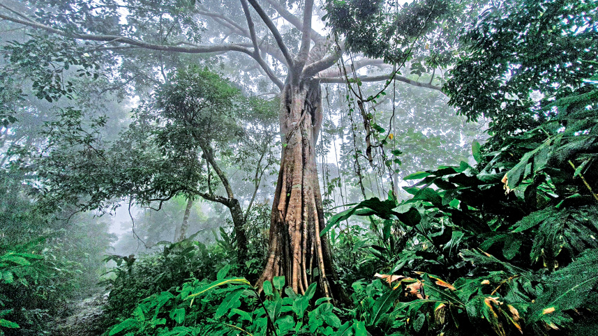 lozai-bandarban3.jpg
