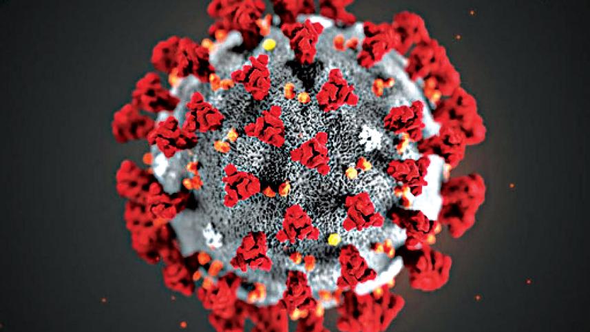 the-covid-19-pandemic.jpg