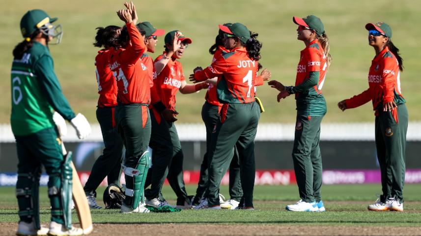 tigresses_3.jpg