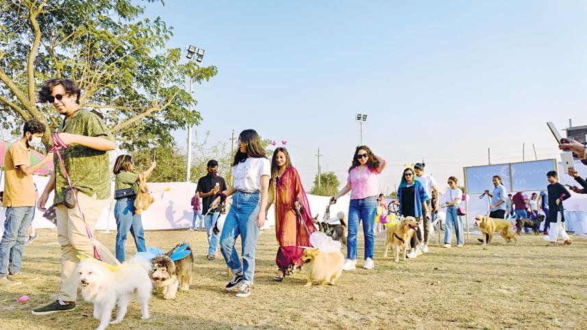 pampered-paws-bangladesh-1.jpg