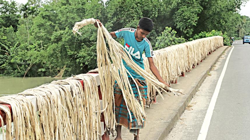 jute.jpg